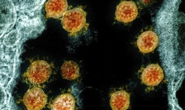 Coronavirus Disease: 16 κρούσματα στο Νότιο Αιγαίο  -  252  κρούσματα σε Αττική, 38 σε Θεσσαλονίκη - Η κατανομή