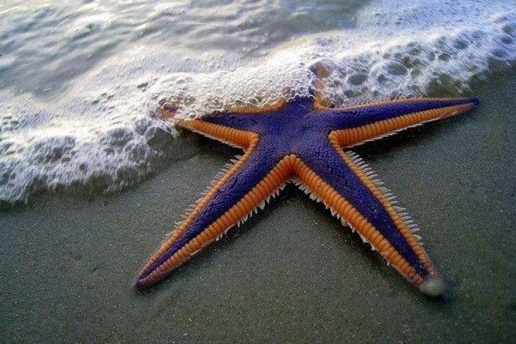 Από σήμερα επίσημα καλοκαίρι!! Είναι η μεγαλύτερη μέρα του χρόνου!!