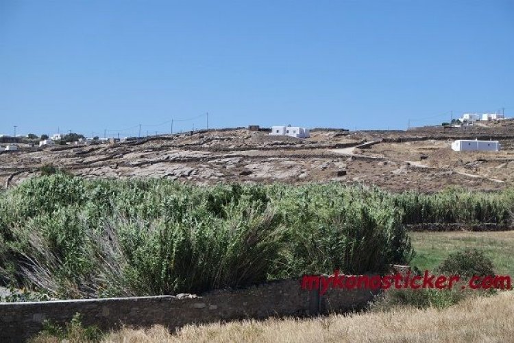 Οκτώ ημέρες πριν τη λήξη της προθεσμίας 28 δήμοι (Μυκόνου) ακόμα δεν έχουν ενσωματώσει στοιχεία στους δασικούς χάρτες