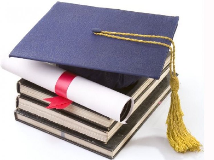 ΣτΕ: Νομικό κενό στον καθορισμό επαγγελματικών δικαιωμάτων αποφοίτων ΑΕΙ