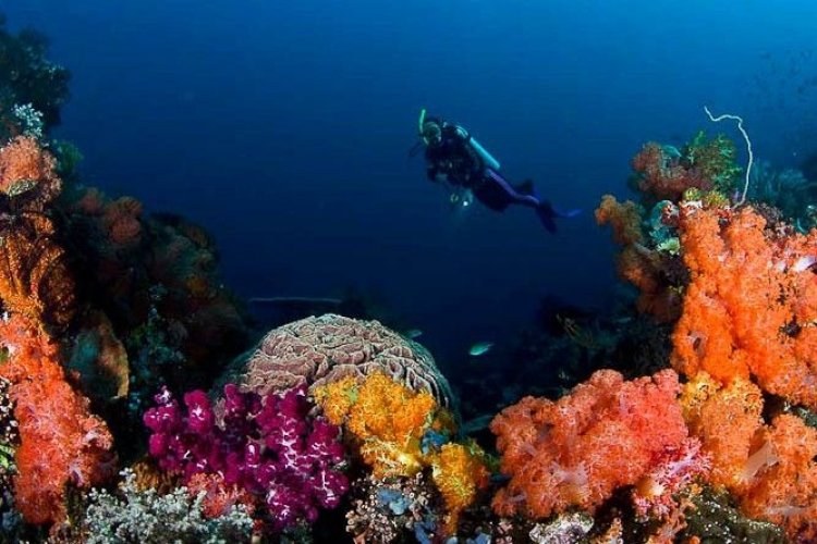 Καταδυτικά πάρκα σε Δωδεκάνησα και Κυκλάδες με χρηματοδότηση του Ευρωπαϊκού προγράμματος Ελλάδα-Κύπρος