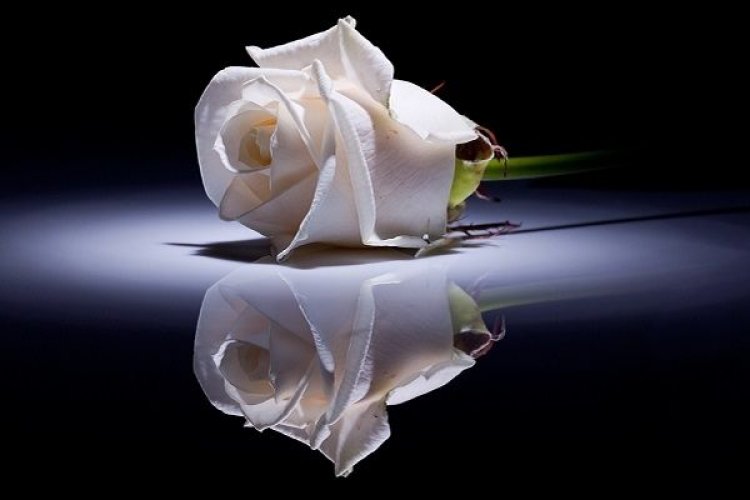 Συλλυπητήρια δήλωση του Περιφερειάρχη Νοτίου Αιγαίου, Γιώργου Χατζημάρκου, για τον θάνατο του Δημάρχου Τήνου, Σίμου Ορφανού