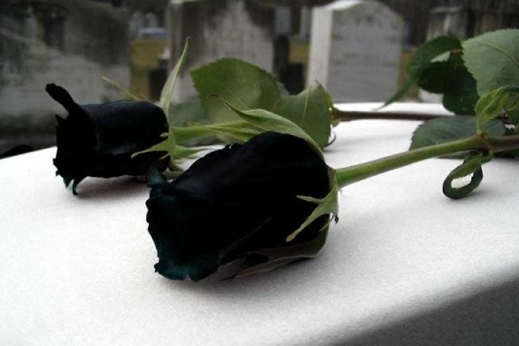 Συλλυπητήρια ανακοίνωση του Γιώργου Χριστόπουλου για την απώλεια του Δημάρχου Τήνου Σίμου Ορφανού