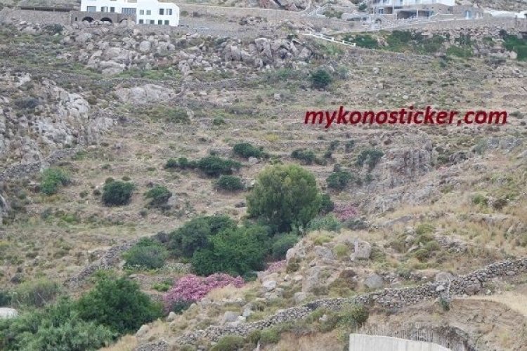 Δασικοί Χάρτες: Επιστολή του Αναπληρωτή Υπουργού Σωκράτη Φάμελλου προς τους Δημάρχους