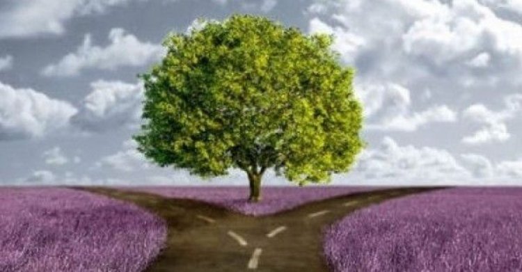 Ολοκληρώθηκε από την Περιφέρεια Ν. Αιγαίου η αξιολόγηση οκτώ (8) επενδυτικών σχεδίων που υπεβλήθησαν στην ΠΕ Κυκλάδων, για υπαγωγή στον Αναπτυξιακό Νόμο