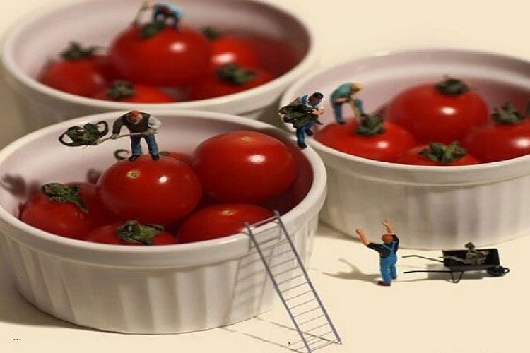 Δεσμεύτηκαν δύο τόνοι ντομάτες