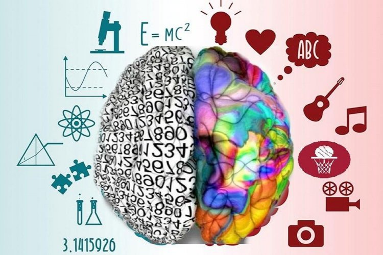 Γιατί εκπαιδεύουμε τα παιδιά σαν να έχουν μόνο αριστερό ημισφαίριο εγκεφάλου;