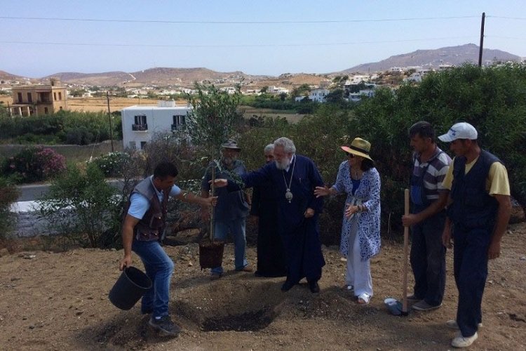 Δενδροφύτευση στον κήπο της Ιεράς Μονής Παναγίας Τουρλιανής