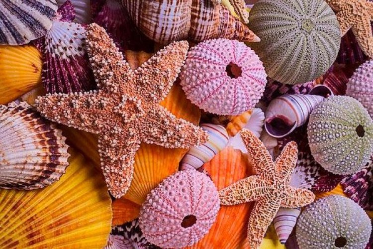 Ιούλιος!!! Καλό Μήνα σε όλους!!!