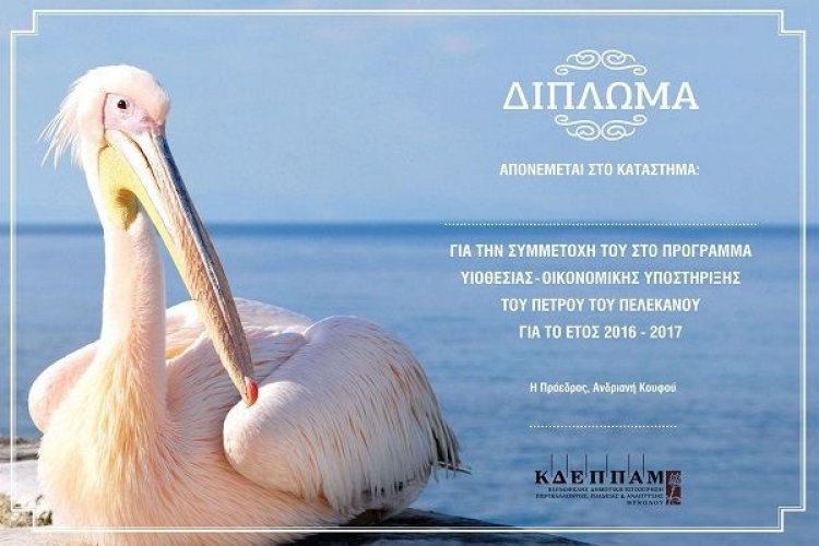 ΚΔΕΠΠΑΜ: Πρόσκληση για εθελοντική συμμετοχή και υποστήριξη προγράμματος «Πέτρος ο πελεκάνος»