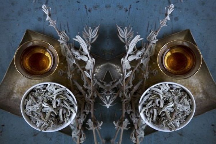 Φτιάξτε μόνοι σας ένα φυσικό αδυνατιστικό ρόφημα με φασκόμηλο!!!