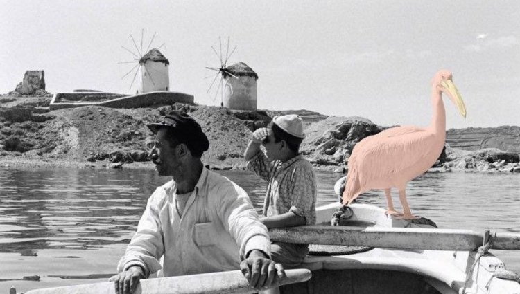 Ευχές για Καλή Χρονιά απο τον Δήμαρχο Κ. Κουκά και το Δημοτικό Συμβούλιο του Δήμου Μυκόνου