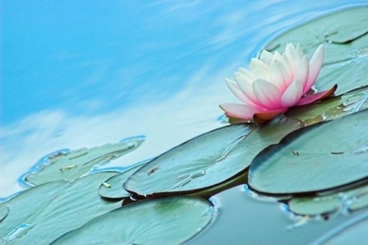 Τα πέντε σημάδια που δείχνουν πως έχεις μια ιδιαίτερη, ιερή σχέση