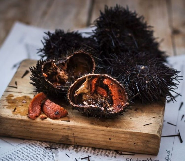 Προσοχή!! Ο αχινός θεωρείται προστατευμένο είδος!! Κίνδυνος για βαρύ πρόστιμο αν βγάλετε αχινό!!