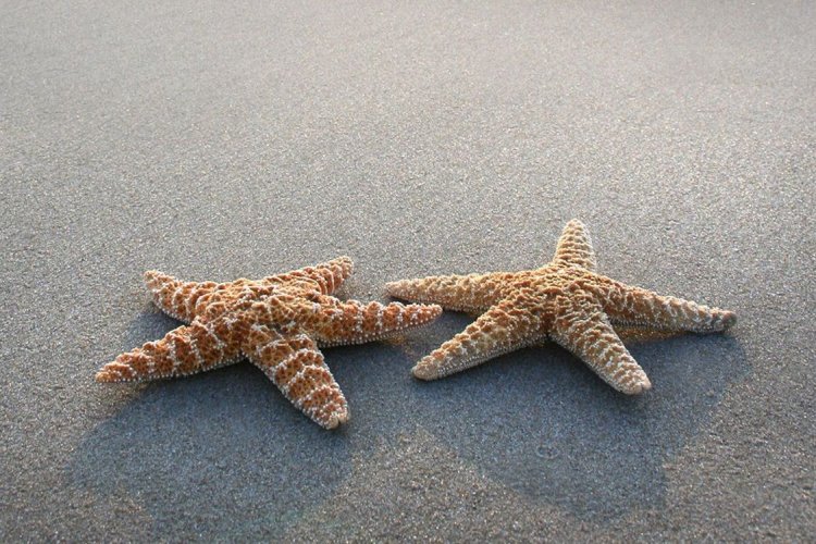 Ημερήσιες προβλέψεις σε όλα τα ζώδια για την Τρίτη 09/7/2019