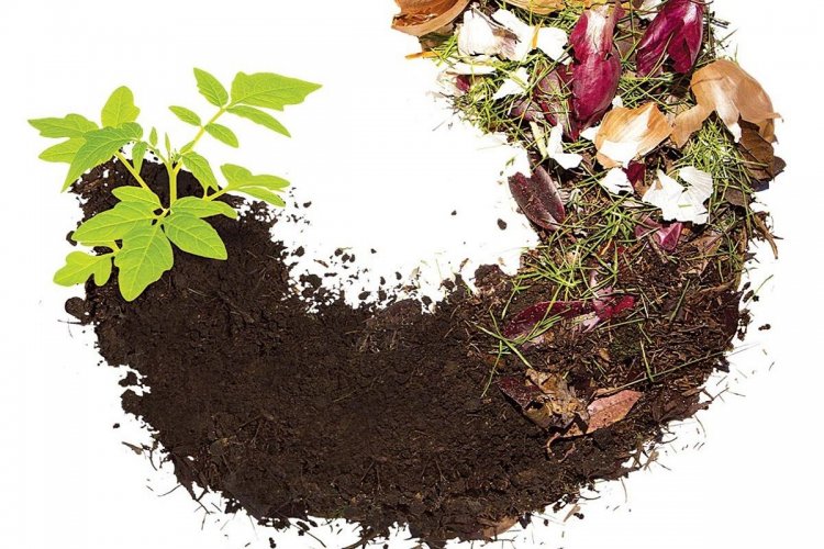 Το Εγχειρίδιο της ΜΟΔ: «Μεθοδολογία Ανάπτυξης Δημοτικού Συστήματος Διαχείρισης Βιοαποβλήτων» [pdf]