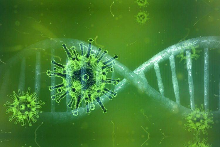 Coronavirus Pandemic - Ε. Δερμιτζάκης: Αν δεν έχουμε δεύτερο κύμα κορωνοϊού, τον Ιούλιο θα πάμε στη θάλασσα