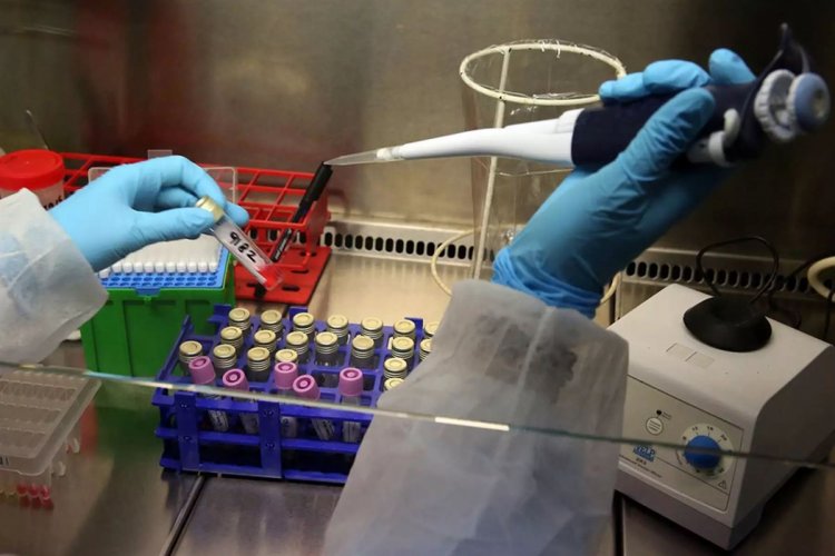 Coronavirus Pandemic - Α. Μεντής : Ελπιδοφόρα μηνύματα για καλύτερες θεραπείες και ίσως εμβόλιο από το φθινόπωρο