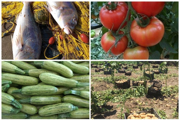 Coronavirus Mykonoς : Κάλεσμα ΚΔΕΠΠΑΜ στις τουριστικές επιχειρήσεις να αγκαλιάσουν τα Μυκονιάτικα προϊόντα