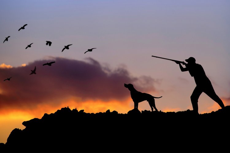 Κυνηγετική Περίοδος 2020-2021: Αρχίζει το κυνήγι!! Οι πρώτες τουφεκιές στις 20 Αυγούστου!! Τι απαγορεύεται και τι επιτρέπεται!! [Πίνακας]