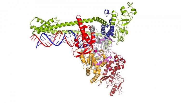 Coronavirus Disease: 284 νέα περιστατικά μόλυνσης – Τα 17 στις πύλες εισόδου, δύο νέοι θάνατοι