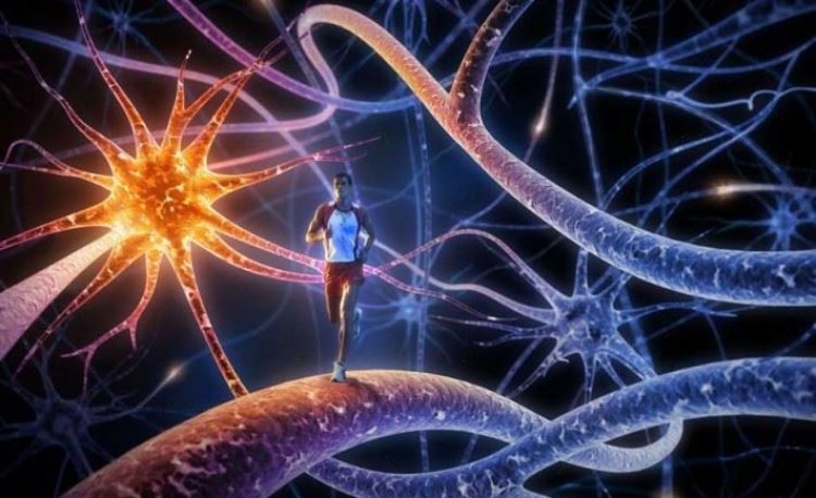 Coronavirus Disease: 342 νέα περιστατικά μόλυνσης – 68 νοσηλεύονται διασωληνωμένοι, 9 νέοι θάνατοι