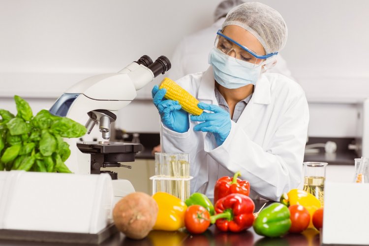 Food Safety & Hygiene: Σεμινάρια Υγιεινής και Ασφάλειας Τροφίμων στην Μύκονο για επιχειρηματίες και εργαζομένους από τον Ε.Φ.Ε.Τ.