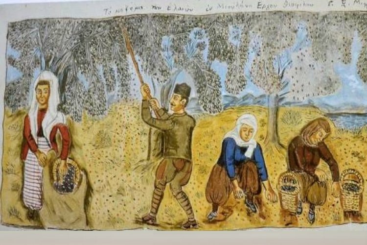 Μαρία Σταυρακοπούλου: Ημέρες ελαιόλαδου - Η Ελιά συμβάλει στην Οικονομία, την Διατροφή, το Περιβάλλον και τον Πολιτισμό