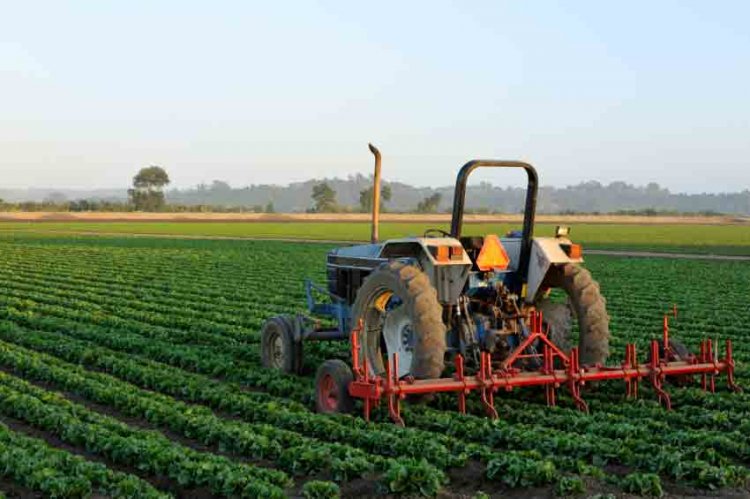 Support Farmers: Υπερψηφίστηκε η διάταξη που καθιστά αφορολόγητες τις ενισχύσεις λόγω κορωνοϊού που λαμβάνουν οι αγρότες