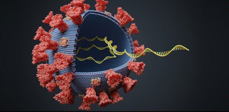 Coronavirus Mutation: Τι ισχύει για τη μετάλλαξη του κορωνοϊού - Οδηγίες στους πολίτες