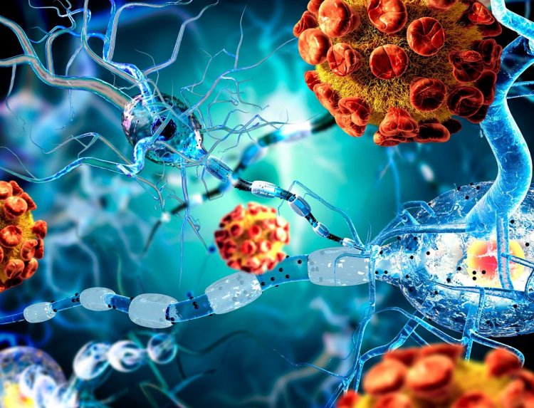 Coronavirus Disease: 599 νέα περιστατικά μόλυνσης –  328 νοσηλεύονται διασωληνωμένοι, 33 νέοι θάνατοι