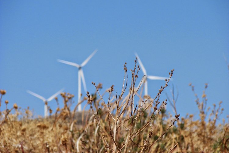 «Οι Κόρες των Κυκλάδων»: Μνημεία πολιτιστικής κληρονομιάς και περιβαλλοντικοί θησαυροί οι Κυκλάδες, όχι «μπαταρίες» για μεγάλα οικονομικά συμφέροντα