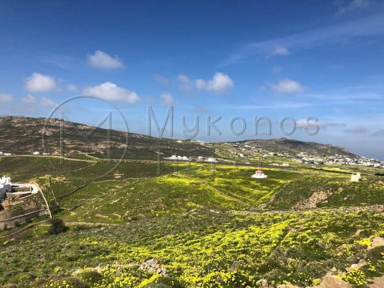 Forest maps in Cyclades: Ποια είναι η καταληκτική ημερομηνία υποβολής αντιρρήσεων στους Δασικούς Χάρτες των Κυκλάδων [Έγγραφο]