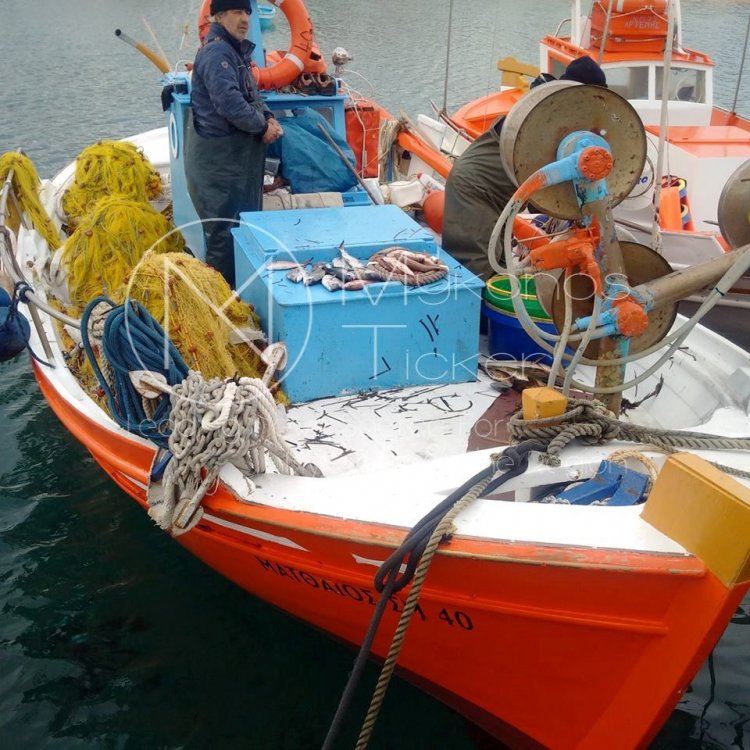 Fishing during Coronavirus? Τι ισχύει για το ψάρεμα μετά την χαλάρωση του lockdown