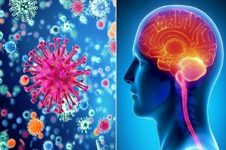 Coronavirus Disease: 72 κρούσματα στο Νότιο Αιγαίο  -  802  κρούσματα σε Αττική,  184 σε Θεσσαλονίκη - Η κατανομή