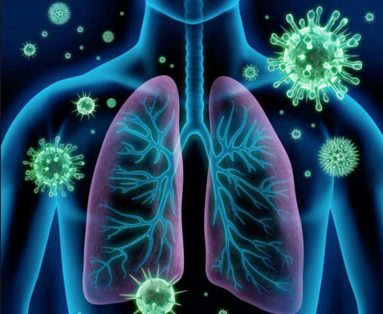 Coronavirus Disease: 2.597 νέα περιστατικά μόλυνσης, το 1 στην Μύκονο  –  797 νοσηλεύονται διασωληνωμένοι, 86 νέοι θάνατοι