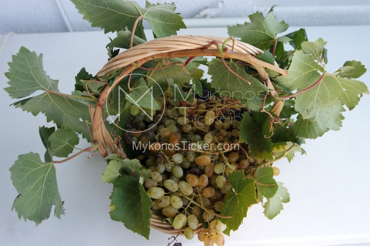 Aegean Islands: Στην κορυφή των προτεραιοτήτων της Περιφέρειας Ν. Αιγαίου ο γαστρονομικός και οινικός τουρισμός