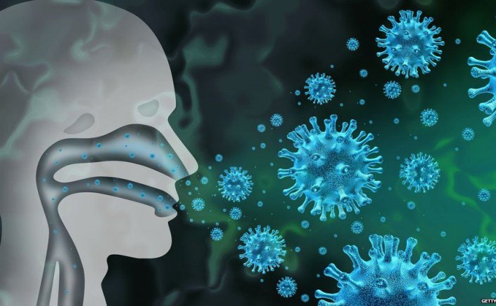 Common cold combats COVID-19: Το κοινό κρυολόγημα καταπολεμά την Covid-19, ενεργοποιώντας ιντεφερόνες