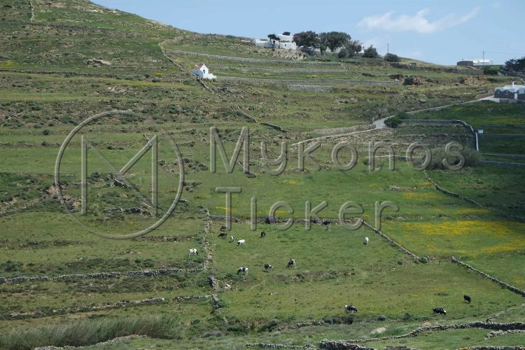 Cadastre: Ξεκινάει η έναρξη συλλογής δηλώσεων για τον τελευταίο κύκλο Κτηματογράφησης στην Μύκονο, από 5 Ιουλίου 2021 [Έγγραφο]