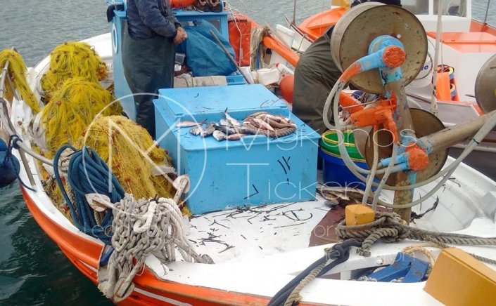 Aegean Islands: Συνεχίζονται οι αποζημιώσεις, λόγω Covid-19, από το επιχειρησιακό πρόγραμμα αλιείας