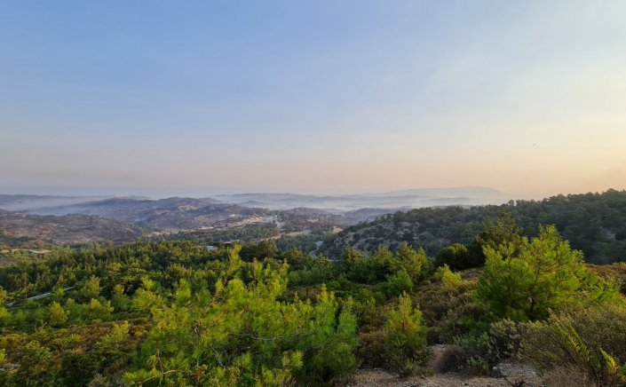 Aegean Islands: Σε ύφεση η φωτιά στη Ρόδο – Επί ποδός ο κρατικός μηχανισμός