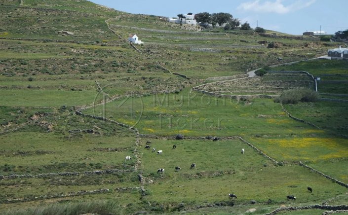 Forest Maps: Μείωση 50% στο τέλος αντίρρησης!! Πώς διαμορφώνονται οι τιμές!!