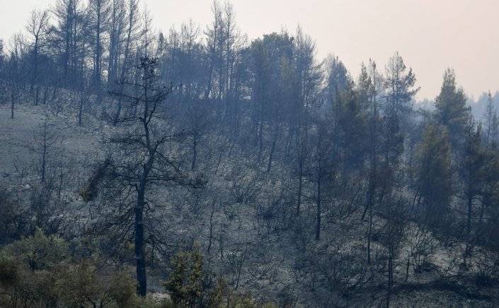 Opinion & Analysis: Τότε δίχαζαν ο Μάνος με τον Μίκη, τώρα το Bachelor με το Big brother. Στόχος ήταν το μυαλό. Τον πέτυχαν!