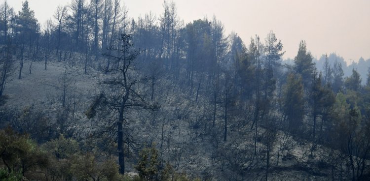 Opinion & Analysis: Τότε δίχαζαν ο Μάνος με τον Μίκη, τώρα το Bachelor με το Big brother. Στόχος ήταν το μυαλό. Τον πέτυχαν!