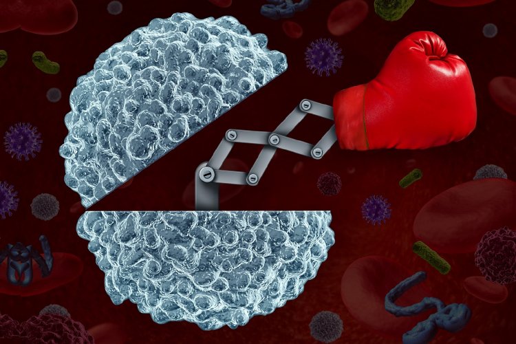 Covid & Immune system: Σημαντικό απέναντι στον Κορωνοϊό αποδεικνύεται το ισχυρό ανοσοποιητικό!! Πώς μπορούμε όμως να το ενισχύσουμε;