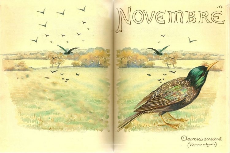 Καλό μήνα!! Νοέμβρης... τα Ονόματά του και οι Ασχολίες του!!