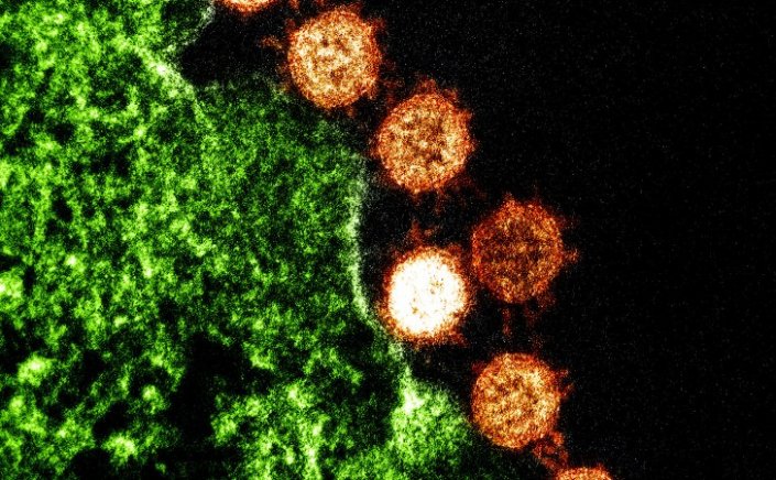 Botswana Covid variant:Δυο ύποπτα κρούσματα εντοπίσθηκαν στο Βέλγιο