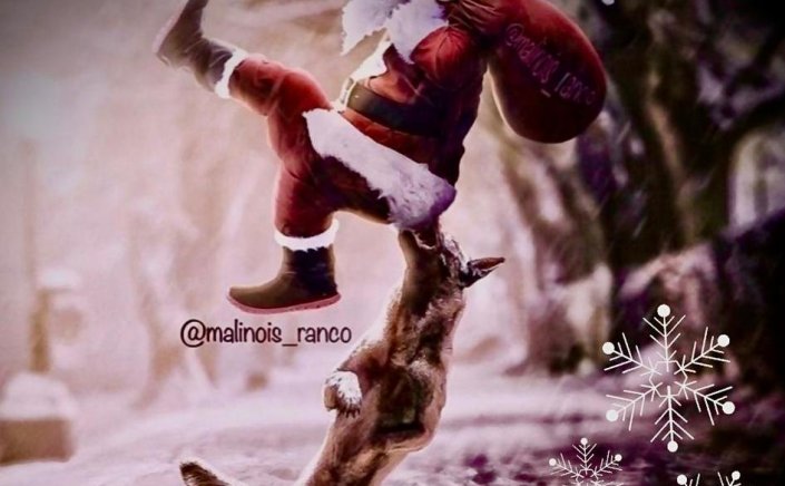 Joyeuses Fêtes! Ευχές από τα στελέχη του Γραφείου Ασφαλείας - Δίωξης Ναρκωτικών του Λ/Χ Μυκόνου