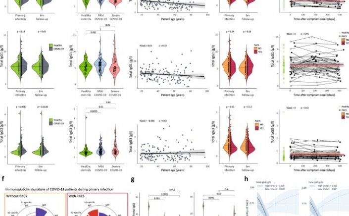 Long Covid: Βρέθηκε για πρώτη φορά μια μέθοδος πρόβλεψης του κινδύνου ανάπτυξης μακράς Covid-19 με βάση βιοδείκτες αντισωμάτων [Εγγραφο]