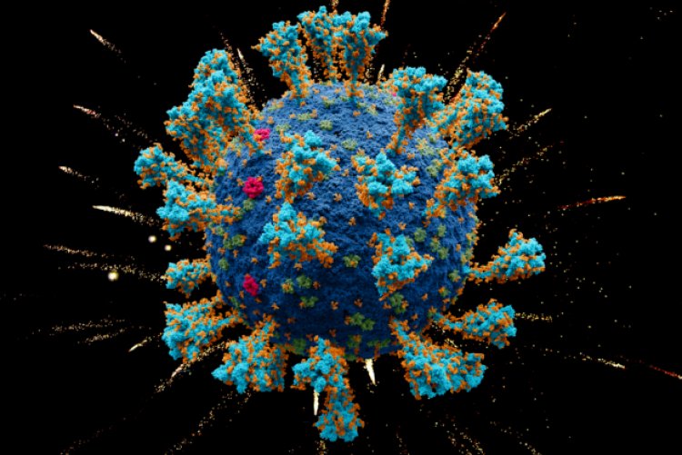 New Variant IHU- Μόσιαλος: Τι ξέρουμε για τη νέα μετάλλαξη από το Καμερούν